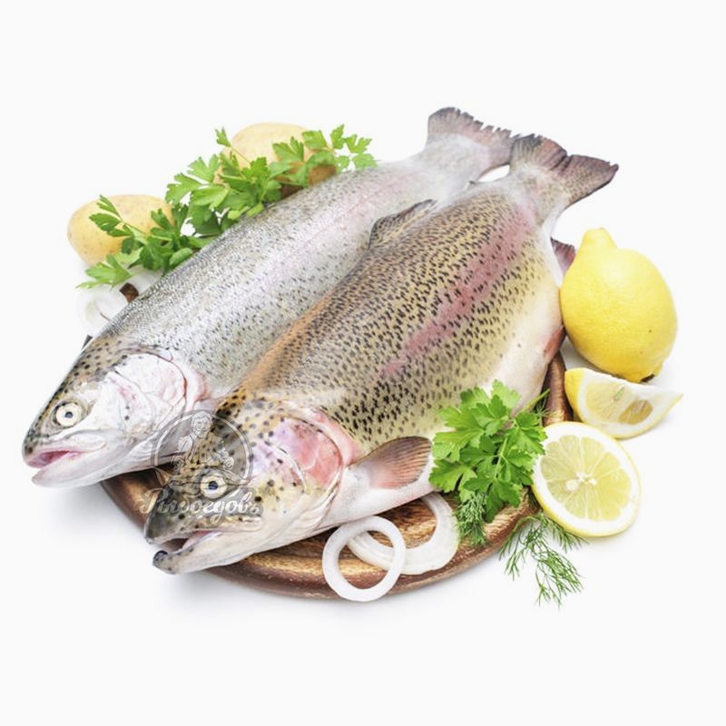 Форель охлажденная, Карелия, ~ 1.5 кг
